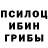 Псилоцибиновые грибы прущие грибы Zuhal Bayildiran