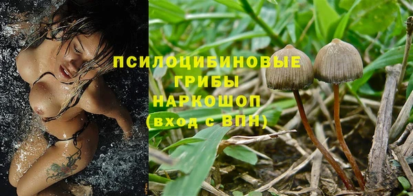 первитин Богданович