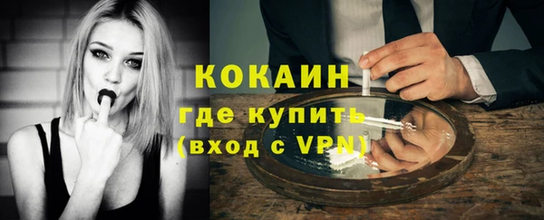 твердый Богородицк