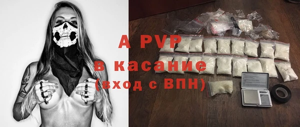 дживик Богородск