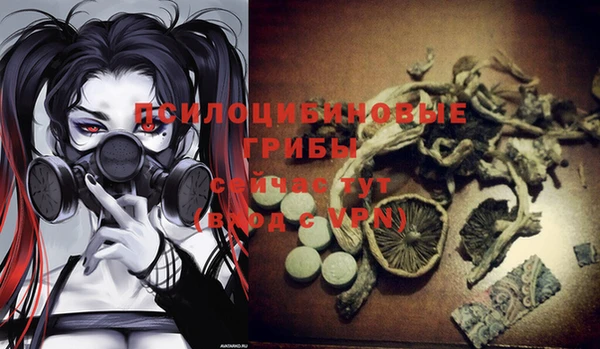 дживик Богородск