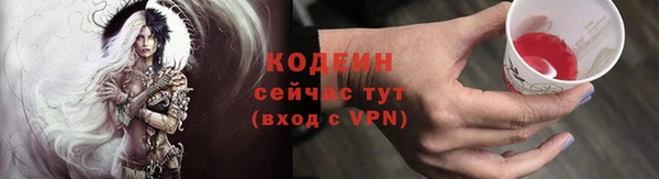 дживик Богородск
