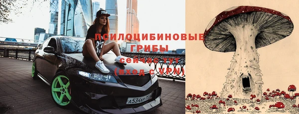 спайс Сосновка